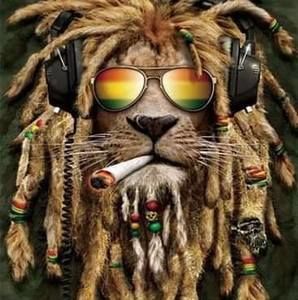 Meet your Posher, Wayne